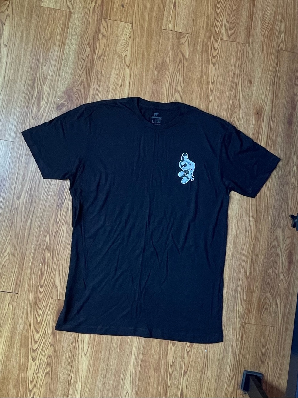graphic T-shirt pin up